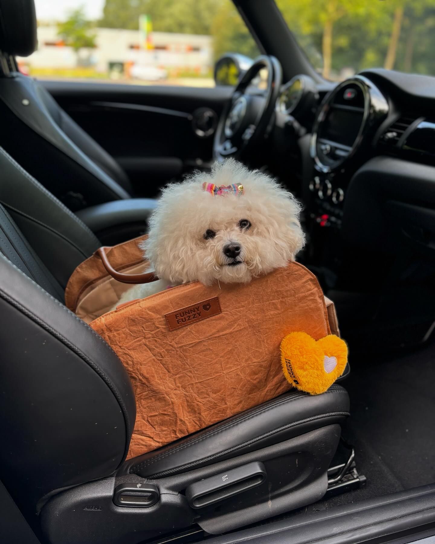 Essential Car Accessories Every Dog Owner Needs for Safe and Comfortable Travels