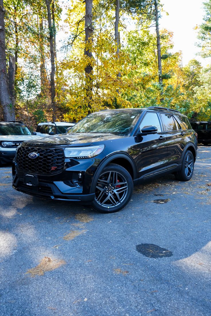 Automotive Insights for Winter Harbor, ME