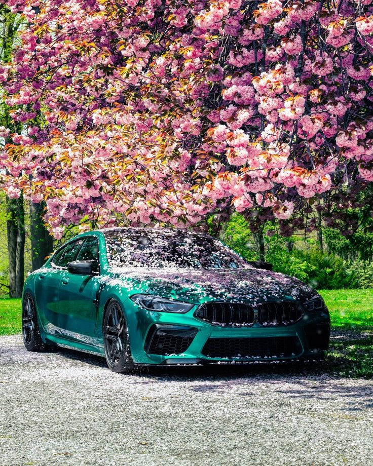 Cars for Sale in Cascade, MT