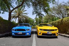 Cars for Sale Italy, TX