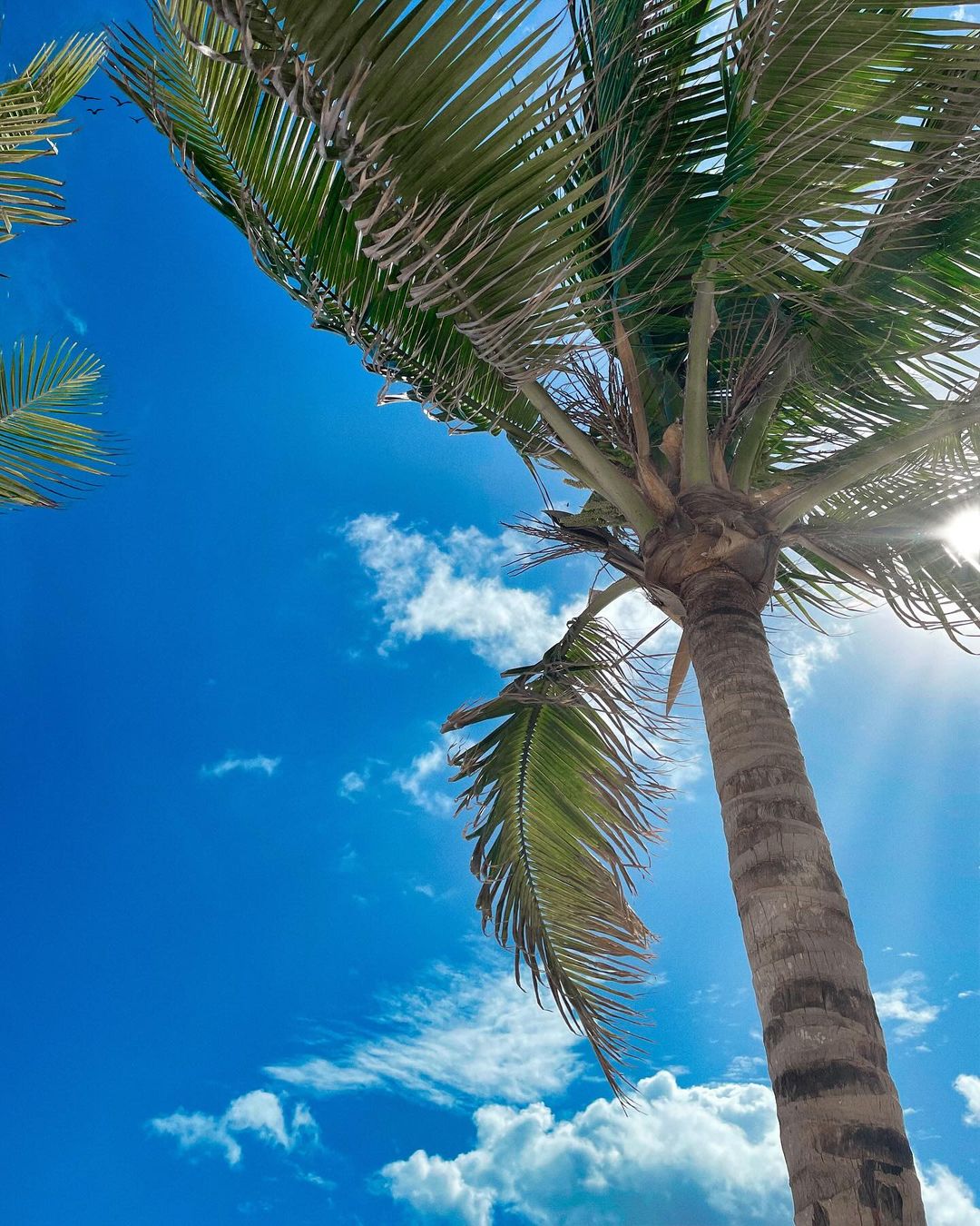 Guide to Cancun Travel: Safety, Requirements, and Top Tips Guide to Cancun Travel: Safety, Requirements, and Top Tips