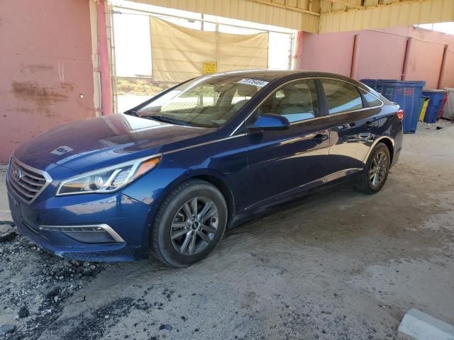 Cars for sale in Waseca, MN