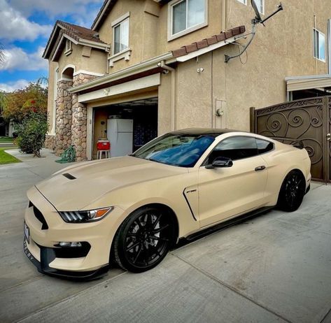 Cars for sale in Hopkins, MN