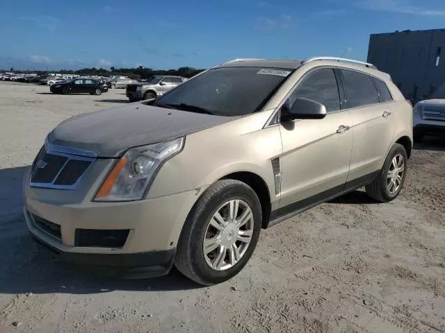 Cars for Sale in Dearborn Heights, MI